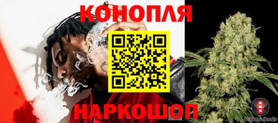 синтетический гашиш Будённовск