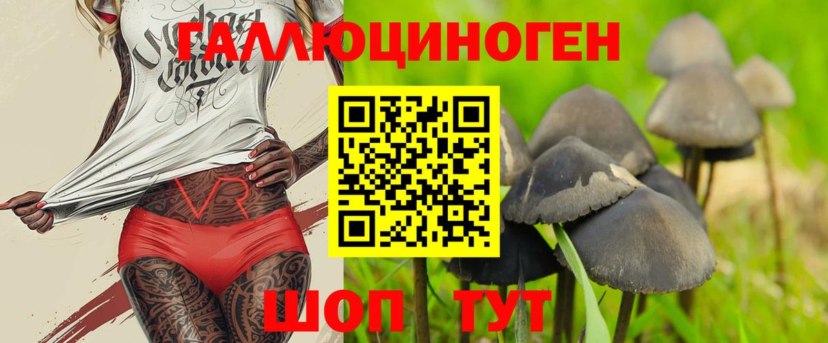 Псилоцибиновые грибы мицелий  Псилоцибиновые грибы MAGIC MUSHROOMS  Вход с VPN  Малоярославец 