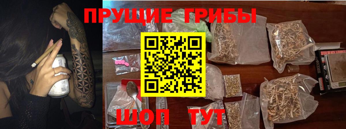 Галлюциногенные грибы прущие грибы Малоярославец